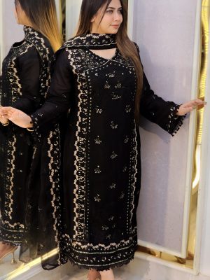 Pakistani inspired Embroidery Dress